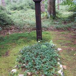 Eins von mehreren Gräbern!