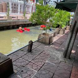 Realität: (und wir kommen Pauls Magenproblemen auf die Spur)