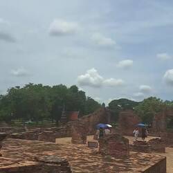 Wohin das Auge reicht..aber was das? King?