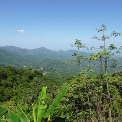 D Ussicht vor Finca Candelaria