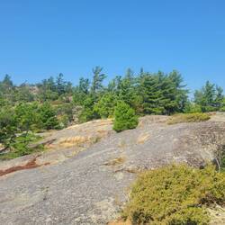 This was a really nice walk to the top. It was a gradual incline, surprised to see how high we were