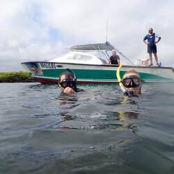 Bereit alles zu entdecken im zapfigen Wasser