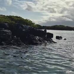 Und aus nächster Nähe sehen diese noch viel süßer aus 🥰