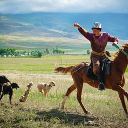 Prova pratica coi cani