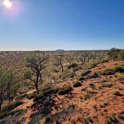 Blick auf den Ayers Rock