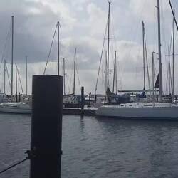 Singin the Wind Teil 1