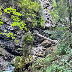 ...bis zum Ende des Tobels zur Mittelstation der Nebelhorbbahn.