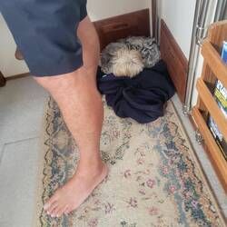 Tug in one of his safe places when we are traveling.