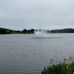 Lovely fountain the Stockley Pond near the hospital