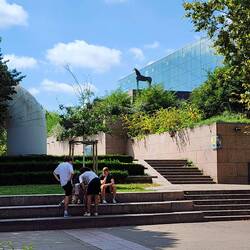 How did that horse get up there?