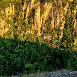 Eagle George. Leider ohne Eagle...