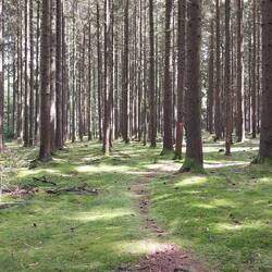 Das ist der Weg!🙂