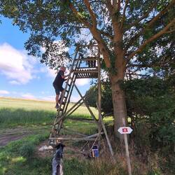 Warum ich da hoch gehe? Weil er da ist!