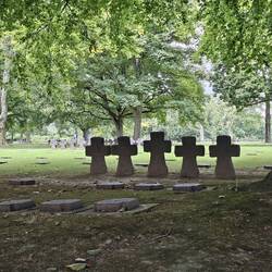 In de schaduw van grote bomen.