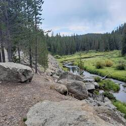 Bikepath into West Y.