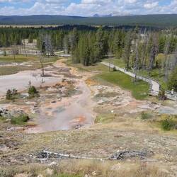 Artists paint Pots (Yellowstone N.P.)