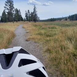 Yellowstone N.P. Bikepath to Grant Village