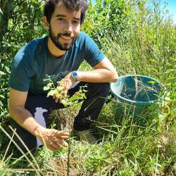 Leo beim pflanzen von "MiArbol"