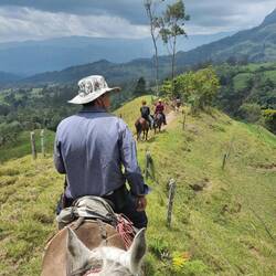 Hoch zu Ross zur Arbeit
