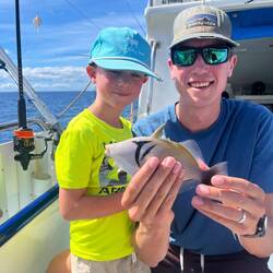 Blue Eyed Trigger Fish