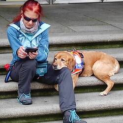 Auch Hunde sind geschafft vom Jakobsweg