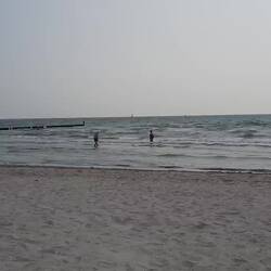 ...im Wasser herrschte ein grosses Gedränge... 🤣