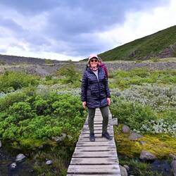 Path to the glacier