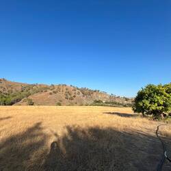 Gefühlt 10% des Grundstücks 🫣