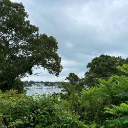 View of harbor from Wickets Island