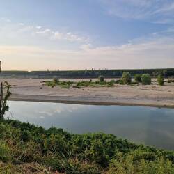 Sandbank im Po
