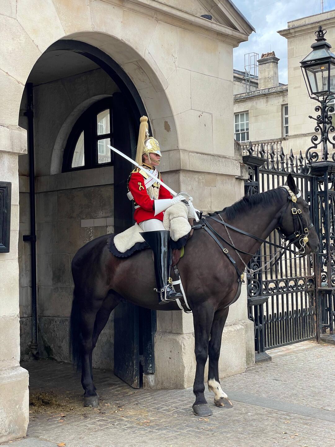 Kings Mounted Guards