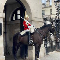 Kings Mounted Guards