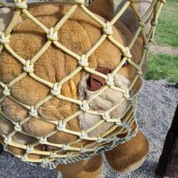 Das passt aber wohl nicht 🙈