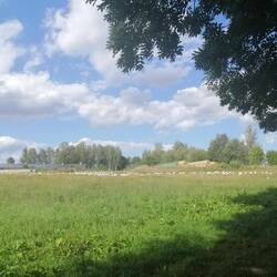 Sehr idyllisch, aber die Vögel machen ordentlich Lärm.
