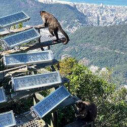 Eine aktive Tierwelt hatten wir hier nicht erwartet