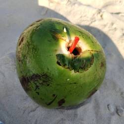 Und danach eine frische Kokosnuss