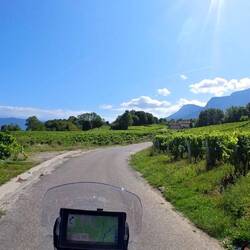 Weiter durch abgelegene Rebberge.