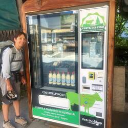 Fresh milk and yogurt