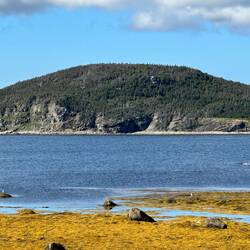 Rocky Harbour at almost low tide