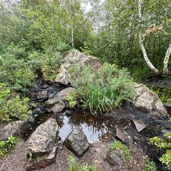 Lovely pond at Corduroy Brook Nature Centre