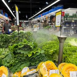 Schön frisch muss der Salat bleiben