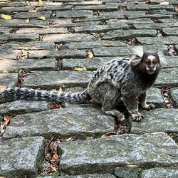 ...und blockiert dann unseren Weg