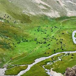 Siamo saliti un po' in alto rispetto al resto del gruppo..