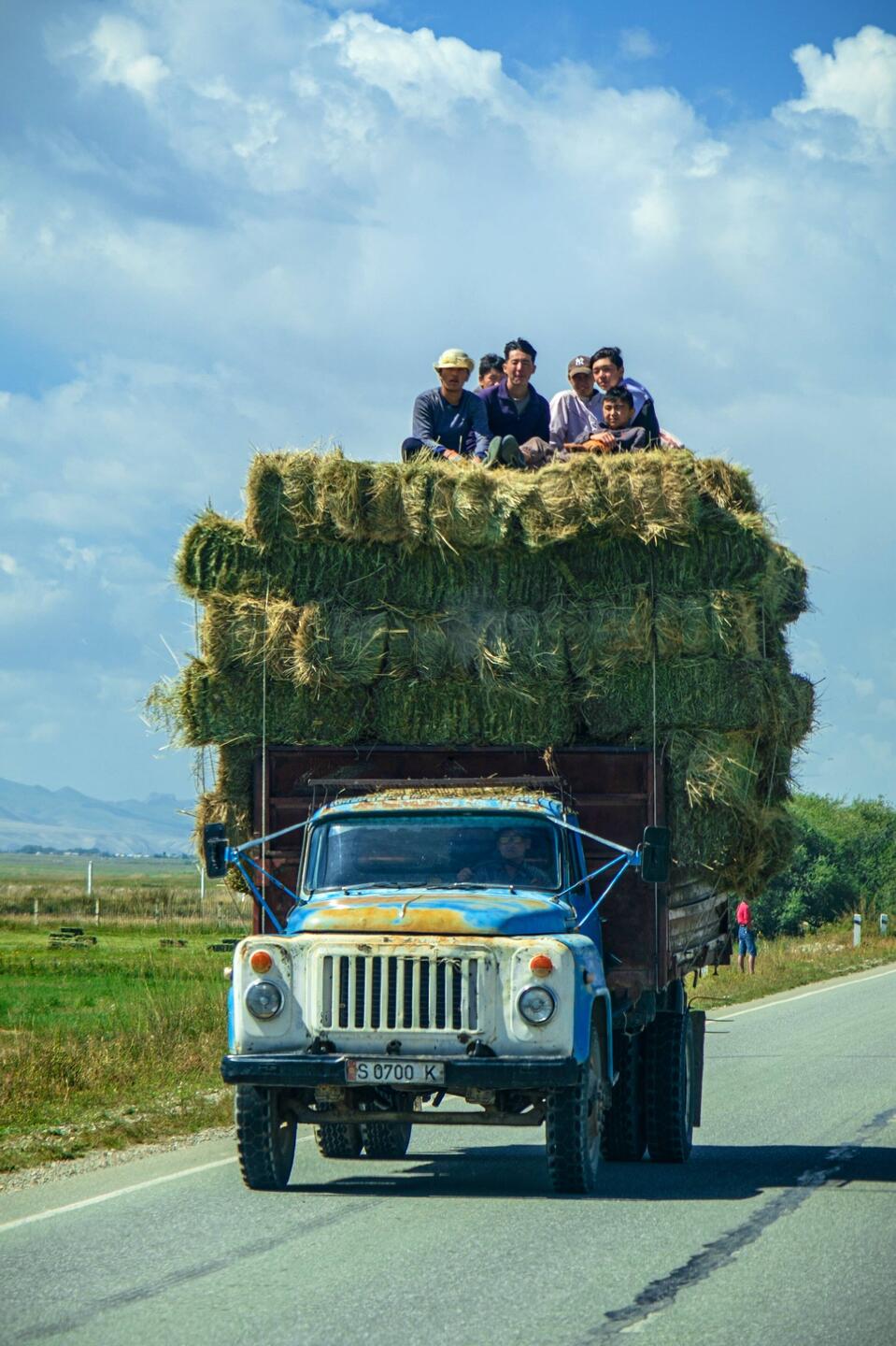 Anche quando si viaggia sull asfalto si fanno strani incontri..