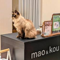 Best sales assistant ever