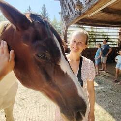 🐎