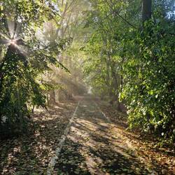 Sonniger Morgen