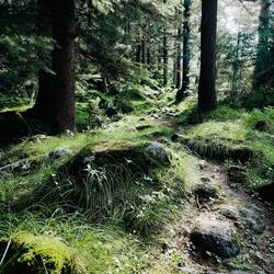 Wie im Auenland