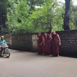 Buddhistische Mönche