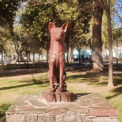 "Lobo - El perro peregrino"